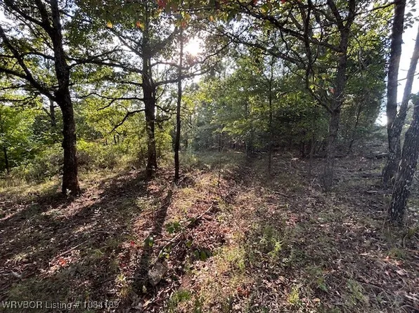 15684 Tower Rd, Winslow, AR 72959