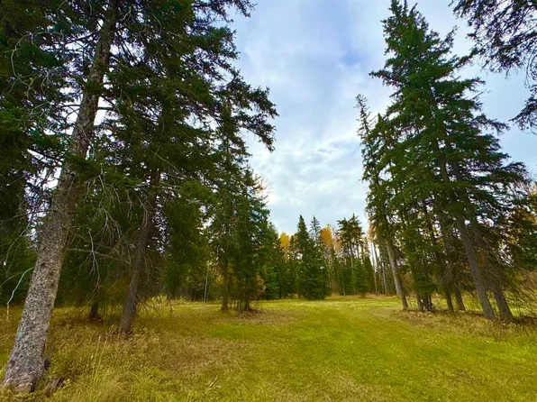201 High Timber Pl, Clearwater County, AB T0M 0C0