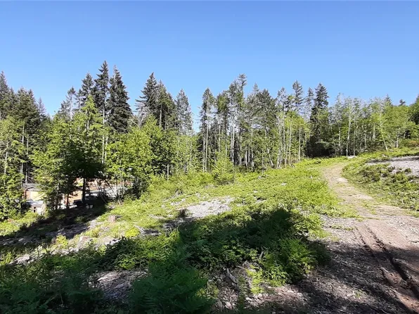 261 NE WJ Way, Belfair, WA 98528