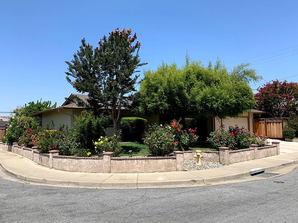 Curb side view of the home