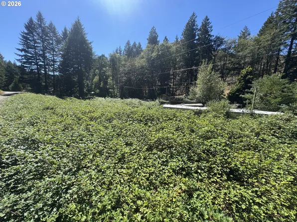 718 Lees Creek Rd, Myrtle Creek, OR 97457