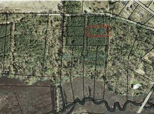 4624 Lindy Ln, Hollywood, SC 29449