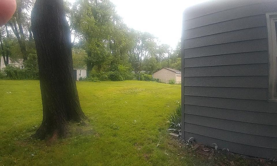 backyard a