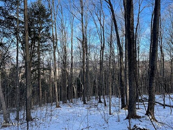 3rd image of L29 Mountain Crest Road