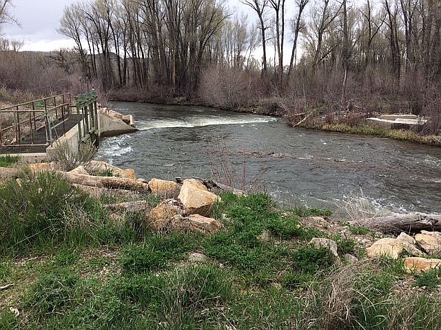 2nd image of 445 County Road 11