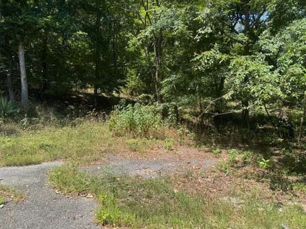 10 Pine Ln #67, Eureka Springs, AR 72631