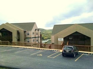 29 Blue Bird Way UNIT 1, Branson, MO 65616