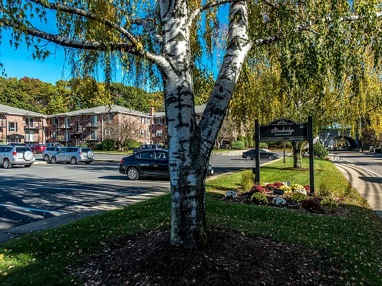 Stonebridge Apartments — Photo 22