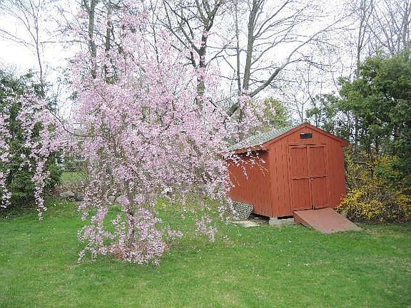 yard and shed