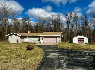 8125 W One Mile Rd, Hesperia, MI 49421