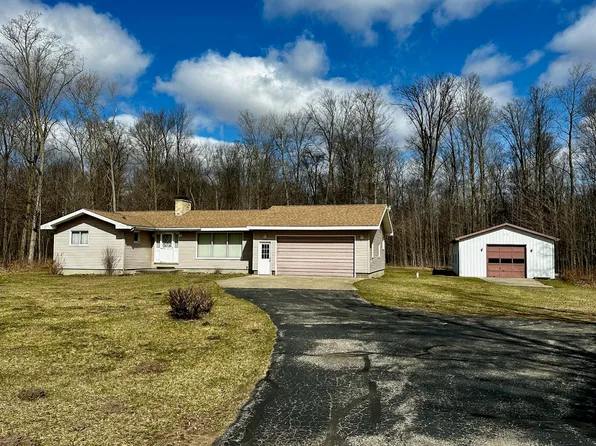8125 W One Mile Rd, Hesperia, MI 49421