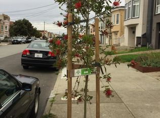 2354 38th Ave, San Francisco, CA 94116