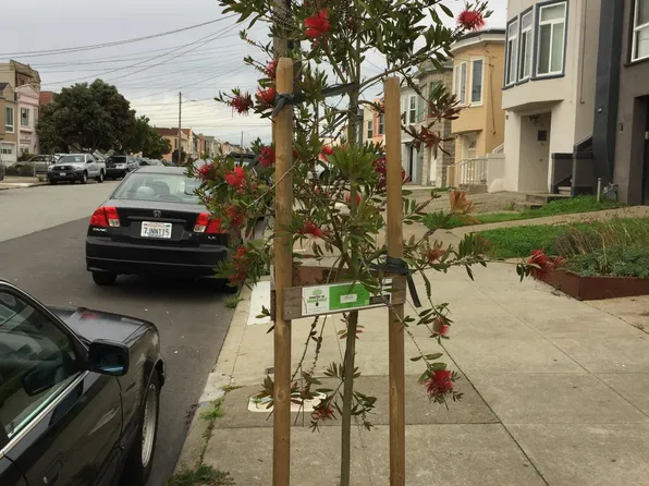 2354 38th Ave, San Francisco, CA 94116