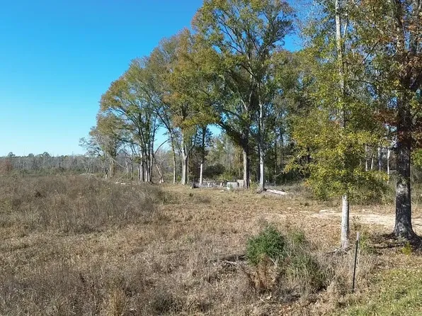 PARCEL One #&-6, Amite, LA 70422