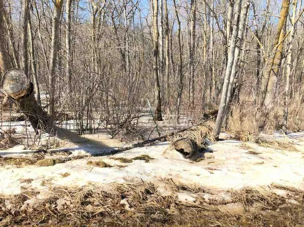 20 Acres Carpenter Road, Mauston, WI 53948