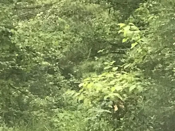 Polaris Cir #9, Alpine, AL 35014