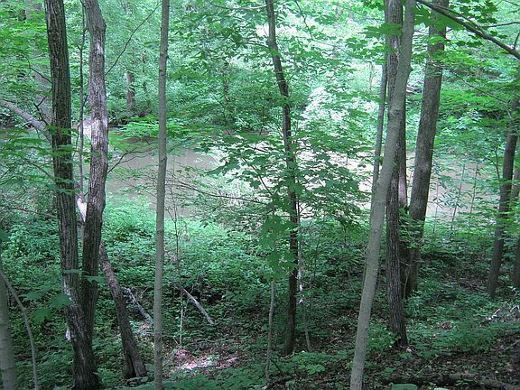 from the ridge view of crk