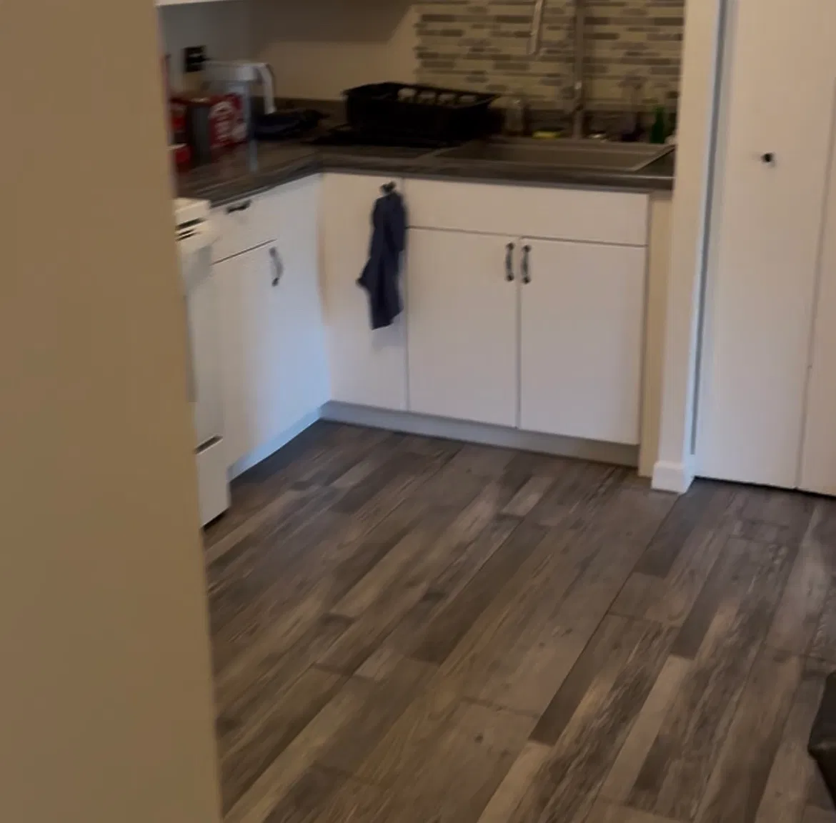 1 bed, 770 sqft, $1,500 — Photo 3