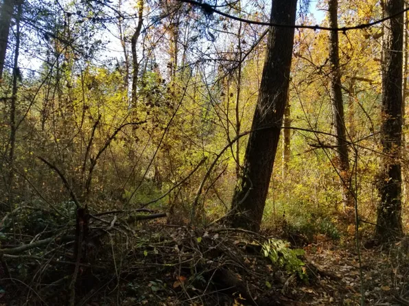 32506 70th Ave S, Roy, WA 98580