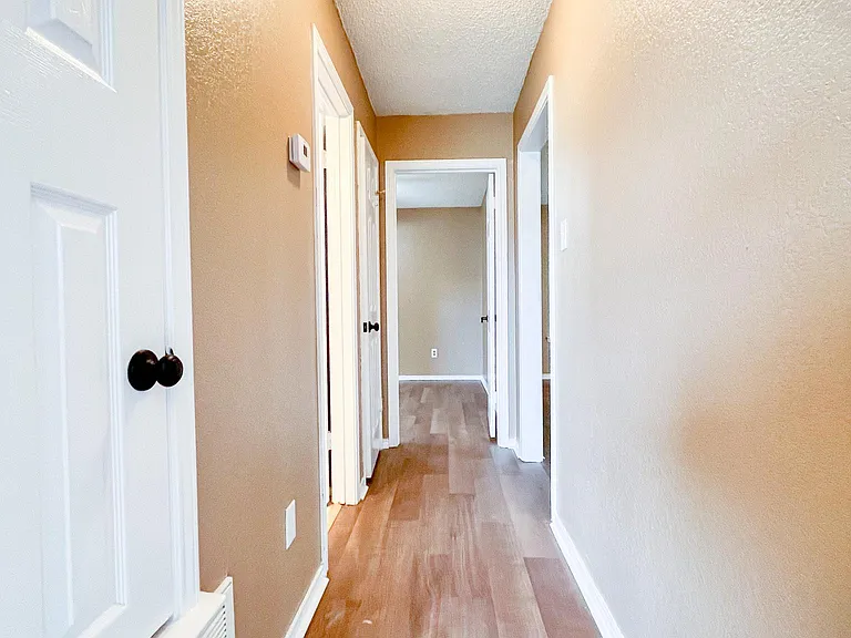 3406 Bamboo Ln — Photo 11