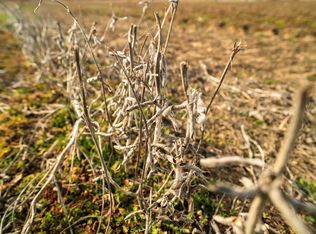 0 Vail Rd, Lacygne, KS 66040