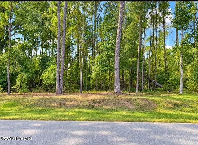 2nd image of 4209 Anderson Circle LOT 3