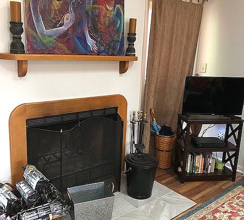 Wood burning fireplace