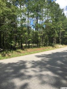2089 Lees Landing Cir, Conway, SC, 29526