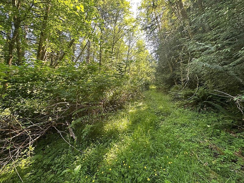 3rd image of 44 Acres McCary Road SW