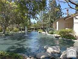 View from back porch