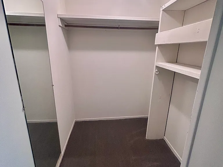 Bonus Room Closet
