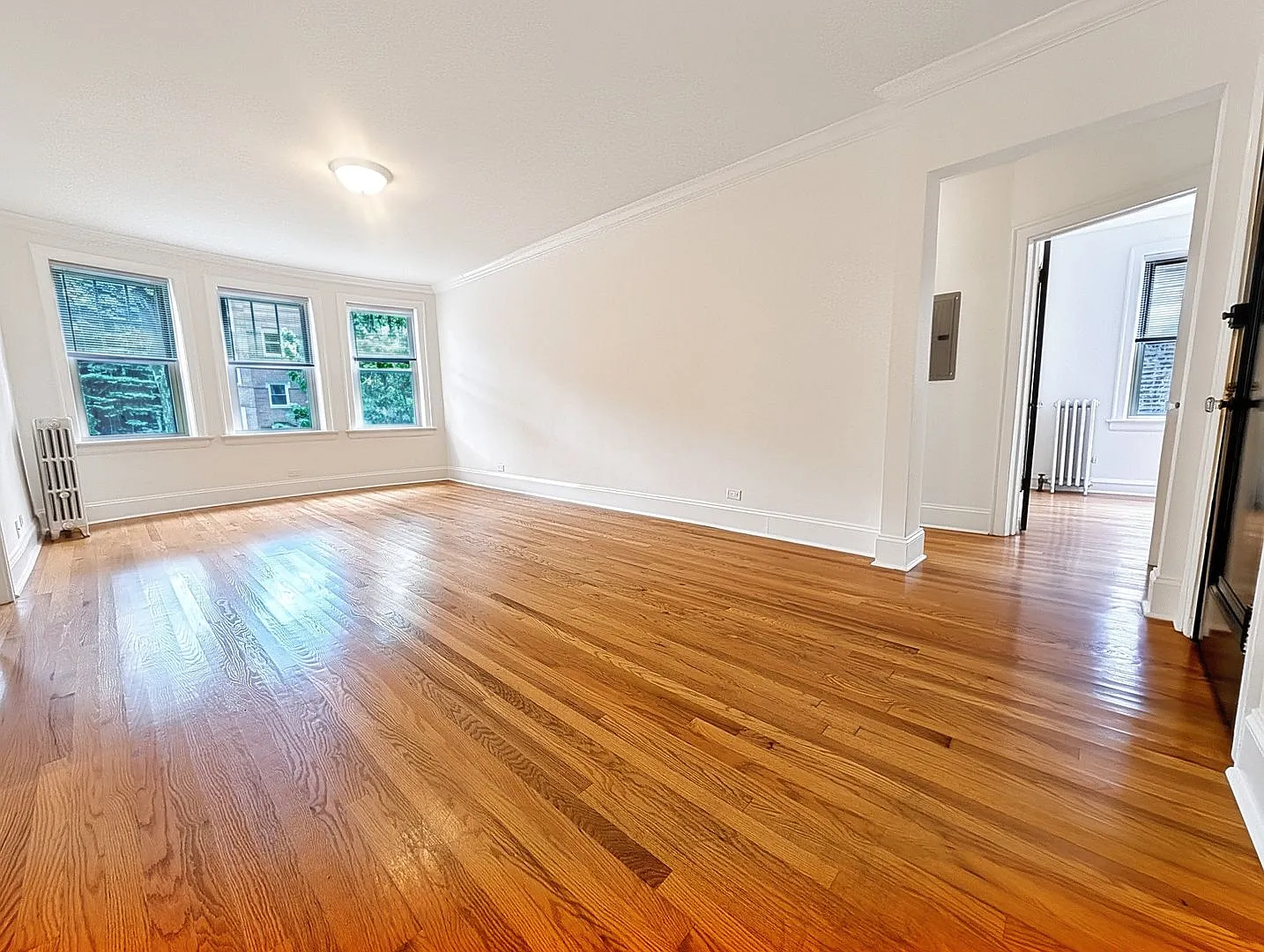 Bright and Sunny Updated 3-bed/1-bath near Loyola — Photo 3