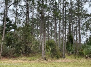 125 Santa Rosa Ave SW, Palm Bay, FL 32908