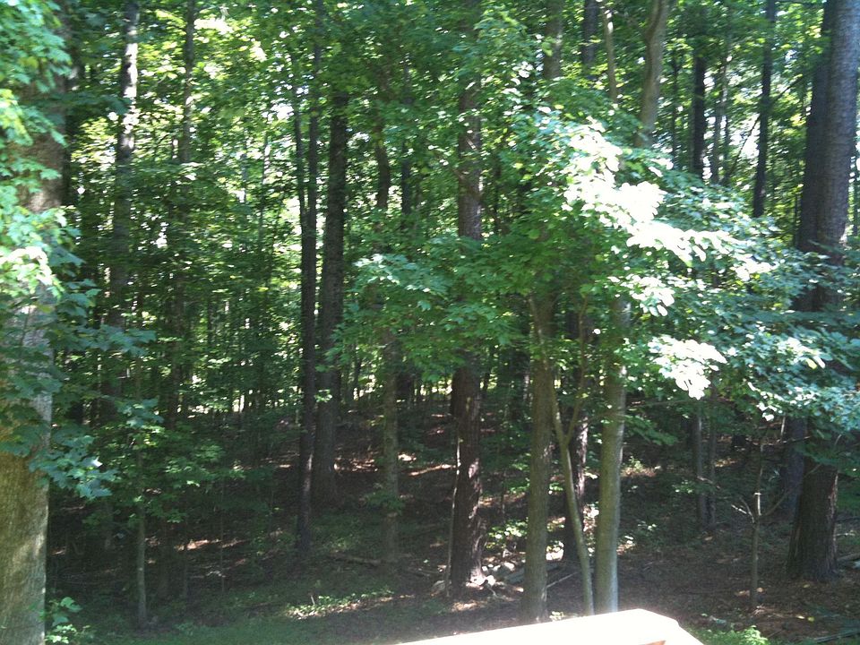 woods