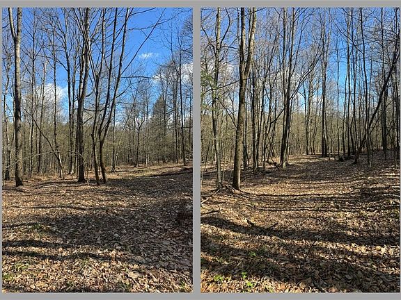 3rd image of Jennison Rd Lot 9