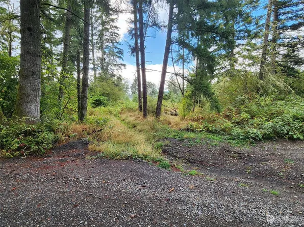 11736 Vail Cut Off Road SE, Rainier, WA 98576