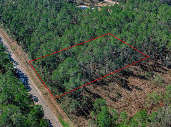 10245 Dillon Ave, Hastings, FL 32145