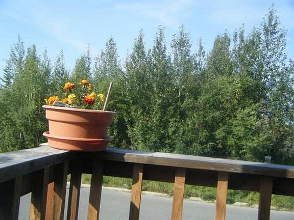 view from deck