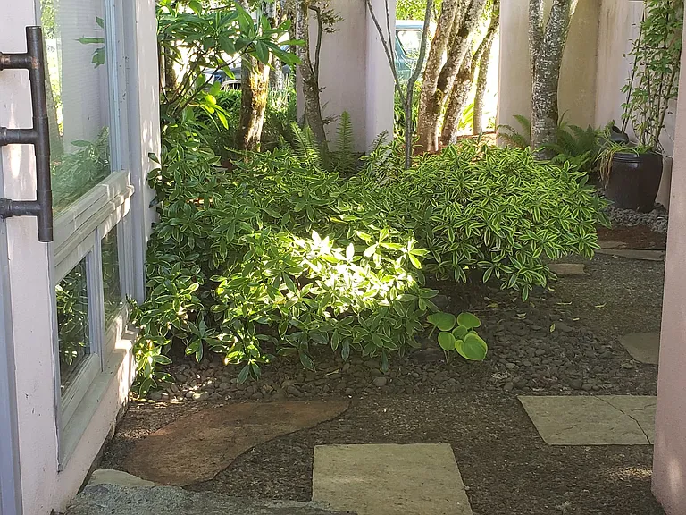 1155 SW Timian St — Photo 2