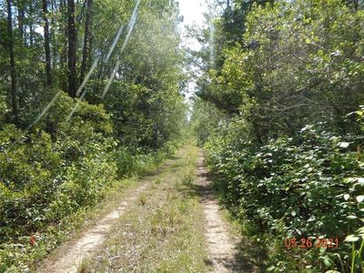 Deland Crossings Blvd LOT 23, Deland, FL, 32724