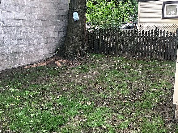 Back yard