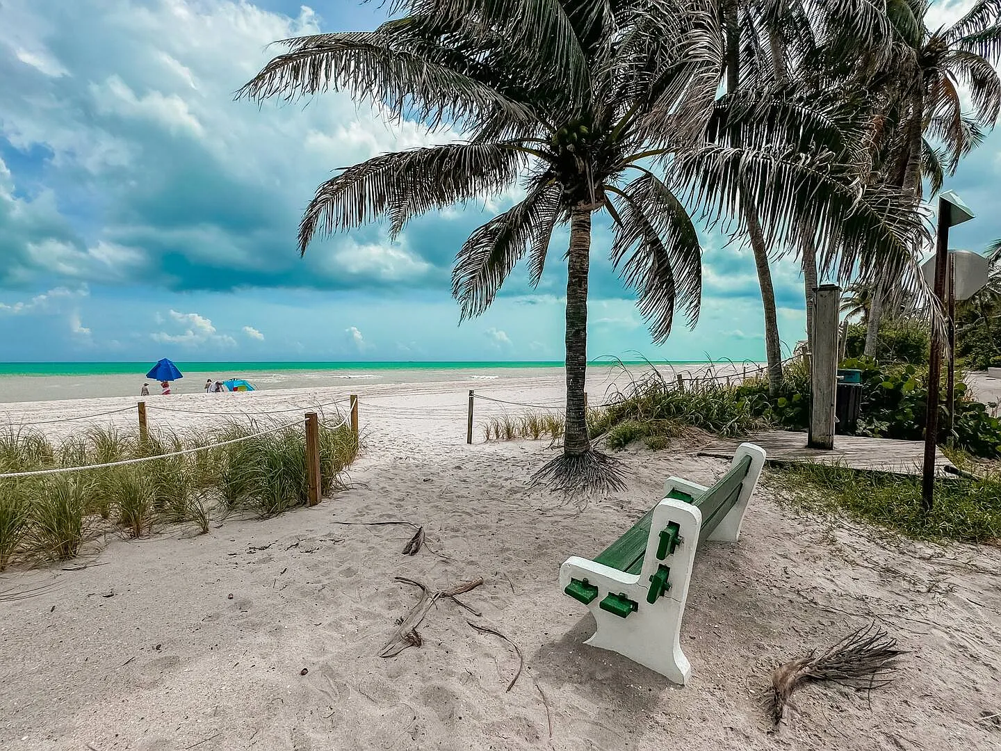 1 bed, $5,130 — Photo 4