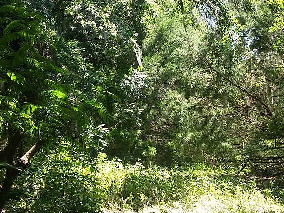 4th image of 18455 NW 144th Ave