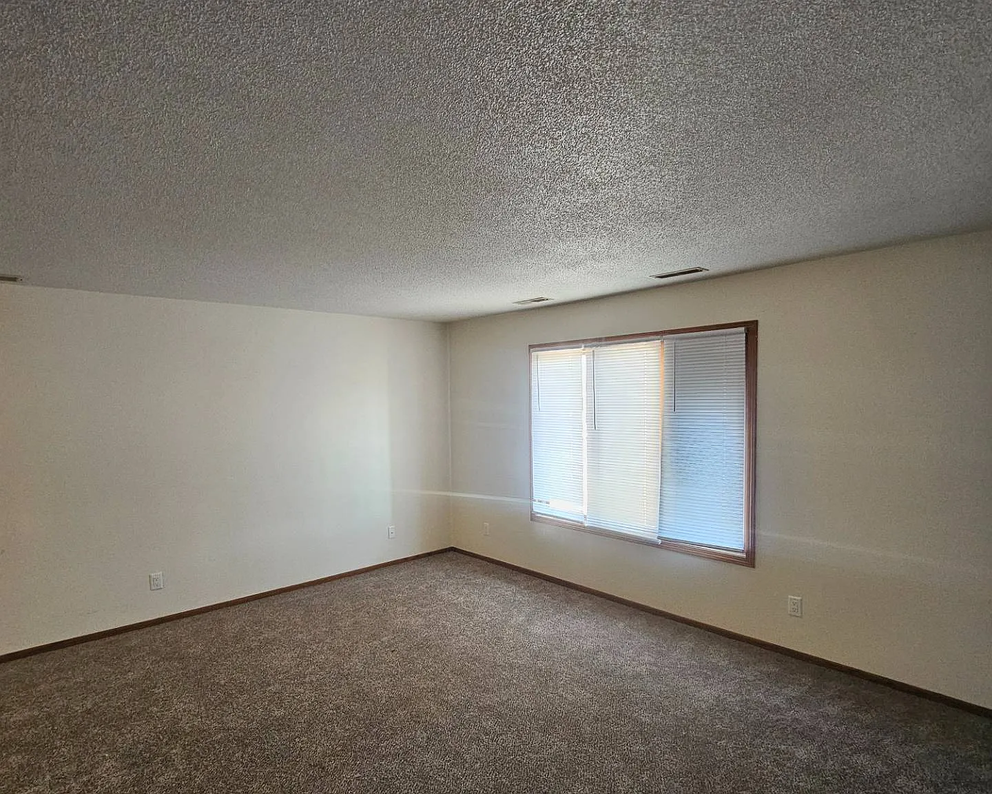 2 bed, $895 — Photo 3