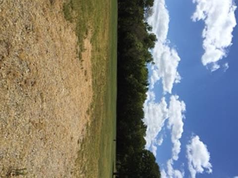 2nd image of 3131 Old Settlers Rd