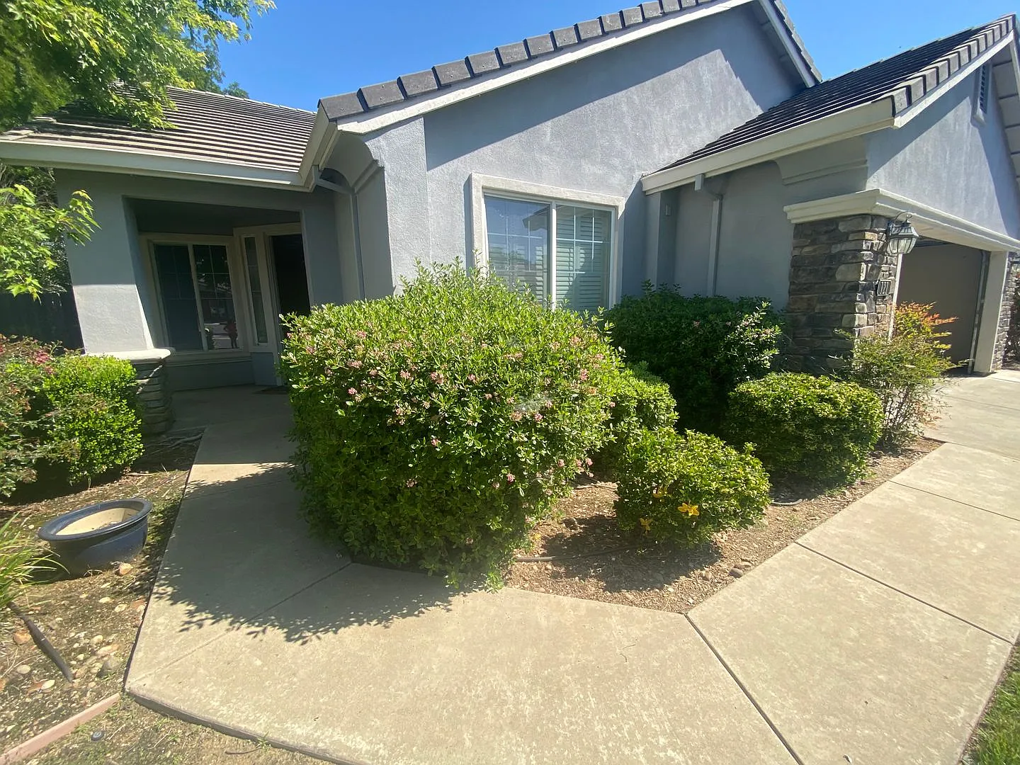 121 Gold Nugget Dr photo 1