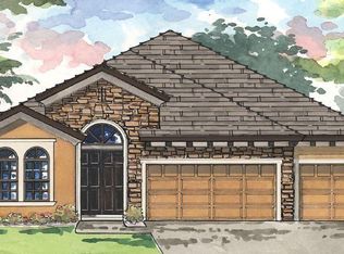 2808 Valencia Ridge St, Valrico, FL 33596