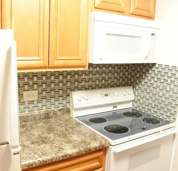 225 S Rohlwing Rd #506 — Photo 11