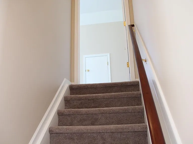 Stairs to frog.