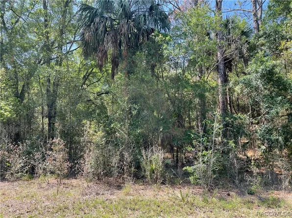 8244 W Basilico St, Crystal River, FL 34428